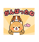 かわいい♪ほめ言葉色々 #柴犬クッキー10（個別スタンプ：7）