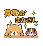 かわいい♪ほめ言葉色々 #柴犬クッキー10（個別スタンプ：13）