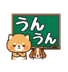 かわいい♪ほめ言葉色々 #柴犬クッキー10（個別スタンプ：28）