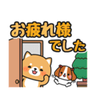 かわいい♪ほめ言葉色々 #柴犬クッキー10（個別スタンプ：30）