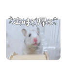 おもちの予感（個別スタンプ：4）
