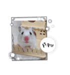 おもちの予感（個別スタンプ：6）