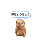 ちょこみ 日常会話スタンプ（個別スタンプ：1）