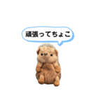 ちょこみ 日常会話スタンプ（個別スタンプ：14）