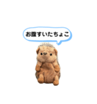 ちょこみ 日常会話スタンプ（個別スタンプ：16）