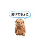ちょこみ 日常会話スタンプ（個別スタンプ：19）