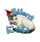 さわがしいねこたちの年末年始（個別スタンプ：3）