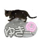 さわがしいねこたちの年末年始（個別スタンプ：11）