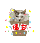 さわがしいねこたちの年末年始（個別スタンプ：29）