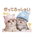 スコティッシュ猫 可愛い雪の結晶ニット 冬（個別スタンプ：26）