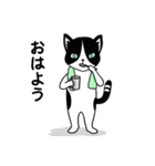 ハチワレCAT★日常ことば（個別スタンプ：1）