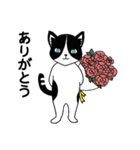 ハチワレCAT★日常ことば（個別スタンプ：3）