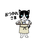 ハチワレCAT★日常ことば（個別スタンプ：11）