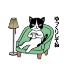 ハチワレCAT★日常ことば（個別スタンプ：12）