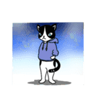 ハチワレCAT★日常ことば（個別スタンプ：13）