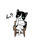ハチワレCAT★日常ことば（個別スタンプ：14）