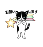 ハチワレCAT★日常ことば（個別スタンプ：16）