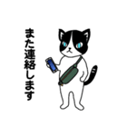 ハチワレCAT★日常ことば（個別スタンプ：17）