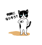 ハチワレCAT★日常ことば（個別スタンプ：18）
