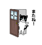 ハチワレCAT★日常ことば（個別スタンプ：19）