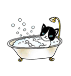 ハチワレCAT★日常ことば（個別スタンプ：22）