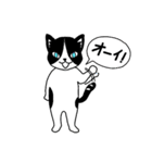 ハチワレCAT★日常ことば（個別スタンプ：25）