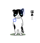 ハチワレCAT★日常ことば（個別スタンプ：27）