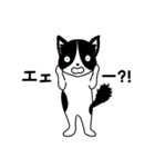 ハチワレCAT★日常ことば（個別スタンプ：28）