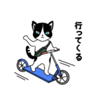 ハチワレCAT★日常ことば（個別スタンプ：31）