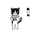 ハチワレCAT★日常ことば（個別スタンプ：33）