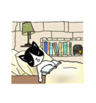 ハチワレCAT★日常ことば（個別スタンプ：38）