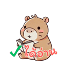 カピバラの生活 (タイ)（個別スタンプ：5）