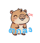 カピバラの生活 (タイ)（個別スタンプ：11）