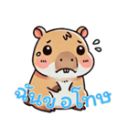 カピバラの生活 (タイ)（個別スタンプ：13）