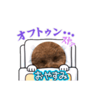 トイプードルのなーふぃー（個別スタンプ：1）