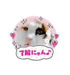 にゃ～んSticker(桜月＆ホームズ）ラジャ等（個別スタンプ：4）