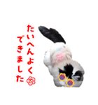 猫のみこちゃんスタンプ（個別スタンプ：8）