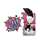 猫のみこちゃんスタンプ（個別スタンプ：22）