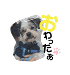 くうちゃんと愉快な古川家（個別スタンプ：7）