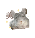 もふもふROOM（個別スタンプ：4）