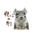 もふもふROOM（個別スタンプ：15）