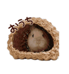 もふもふROOM（個別スタンプ：26）