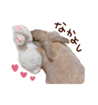 もふもふROOM（個別スタンプ：29）