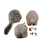 もふもふROOM（個別スタンプ：32）
