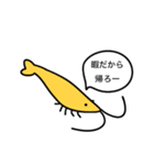 エビの日常☆ちょっと感じの悪いエビたち（個別スタンプ：29）