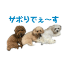ときどきだちきち2（個別スタンプ：7）