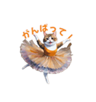 Ballet Studio CATS オリジナルスタンプ（個別スタンプ：4）