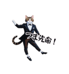 Ballet Studio CATS オリジナルスタンプ（個別スタンプ：8）