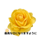 Flower stamp rose ポジティブワンポイント（個別スタンプ：12）