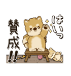 柴犬さん『ゆるい敬語で挨拶と思いやり』（個別スタンプ：20）